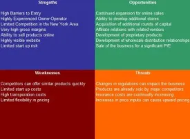 Weight Loss Center SWOT Analysis Plus Business Plan